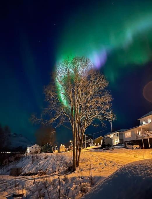 Leilighet I Nord Tromsø Exterior foto